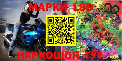 прущие грибы Брянск