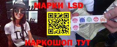 прущие грибы Брянск