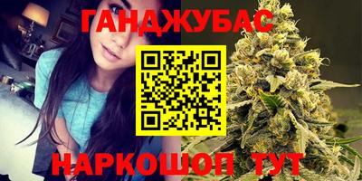 прущие грибы Брянск