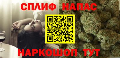 прущие грибы Брянск