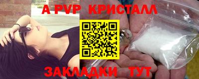 прущие грибы Брянск