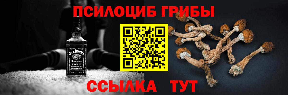 Волгодонск  Галлюциногенные грибы ЛСД  Вход с VPN  Галлюциногенные грибы GOLDEN TEACHER 
